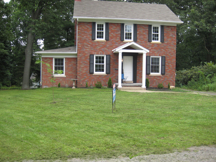 Hydroseeded lawn after a few weeks of growth