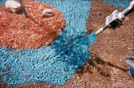 Hydroseed being sprayed on a lawn